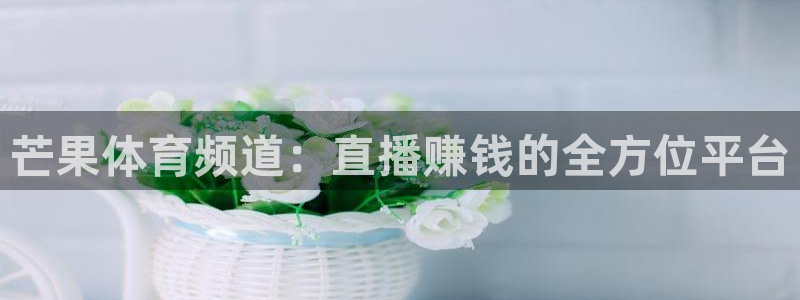 火凤直播体育免费直播火箭