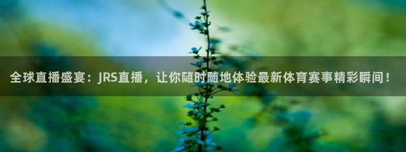 火凤直播nba