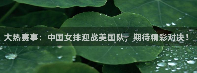 火凤直播体育直播最新赛程