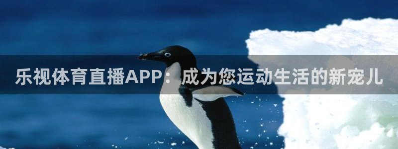 火凤直播体育免费直播