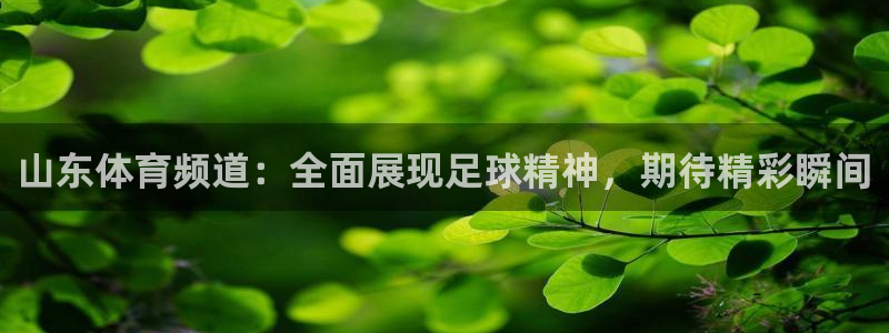 火凤直播体育app下载安装