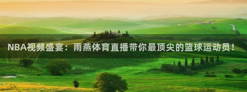 火凤直播nba：NBA视频盛宴：雨燕体育直播带你最顶尖的篮球运动员！