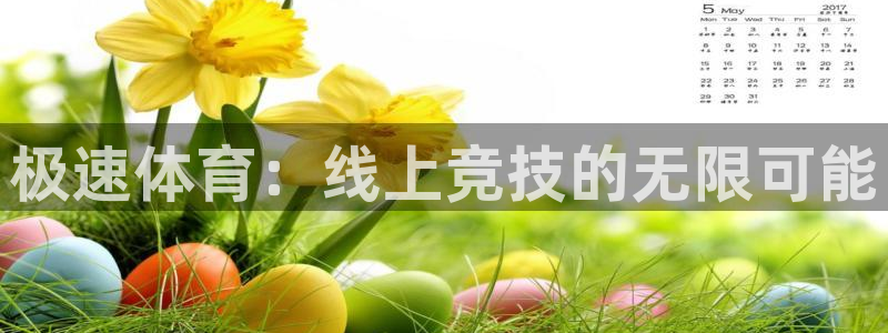火凤体育赛事直播：极速体育：线上竞技的无限可能