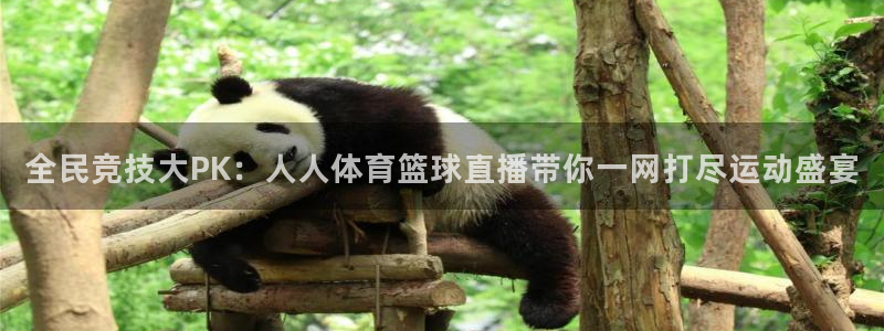 火凤直播体育官网