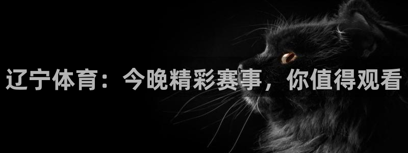 火凤体育直播：辽宁体育：今晚精彩赛事，你值得观看